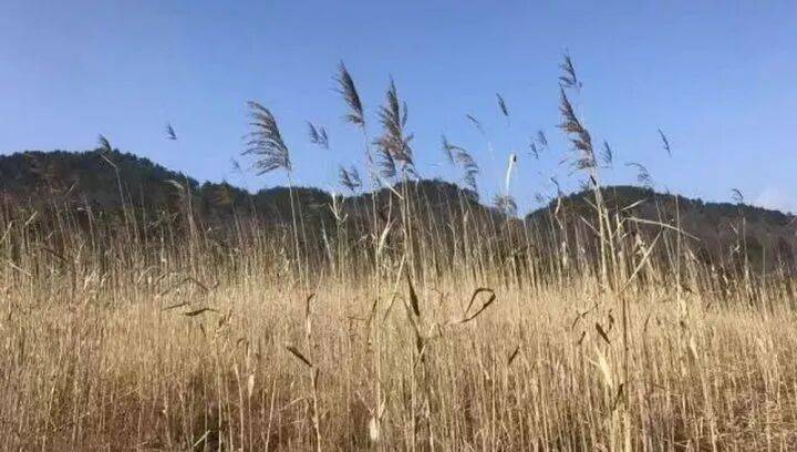 禁止任何形式穿越<strong></p>
<p>区块链eth</strong>！杭州一地发布最严禁令