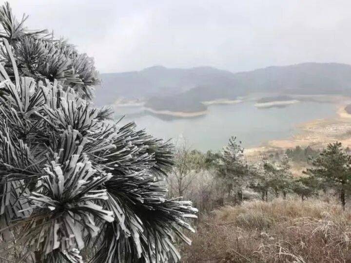 禁止任何形式穿越<strong></p>
<p>区块链eth</strong>！杭州一地发布最严禁令