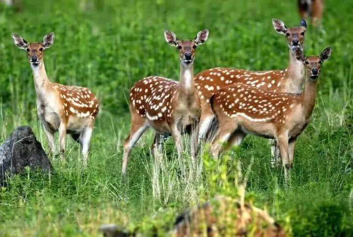 禁止任何形式穿越<strong></p>
<p>区块链eth</strong>！杭州一地发布最严禁令