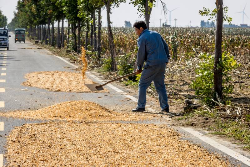 阴雨50天<strong></p>
<p>eth区块链</strong>，他用3200块救回30万斤玉米