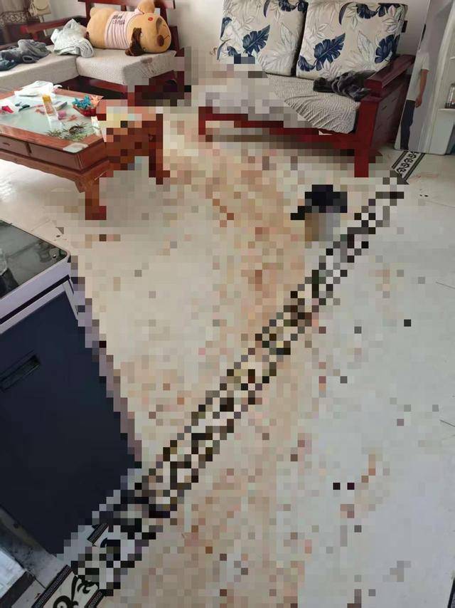 “女子出租屋遭男友持刀杀害”案明日开庭<strong></p>
<p>eth走势</strong>,家属发声:凶手从未道歉,我们不会谅解