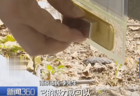 不是慢镜头！福建舰电磁弹射速度那么快<strong></p>
<p>比特币</strong>，是怎么瞬间刹车的？