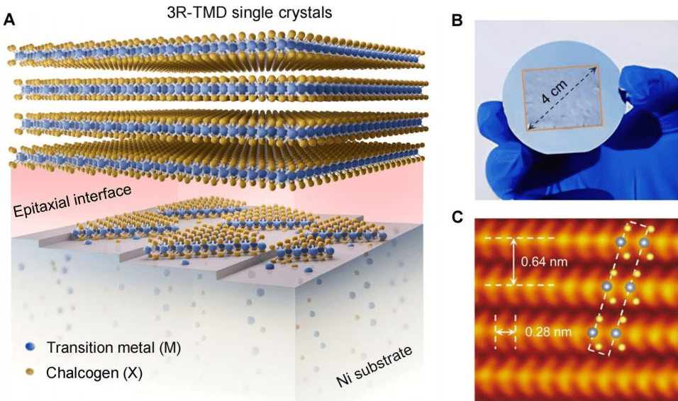 33岁刘灿<strong></p>
<p>比特币</strong>，破格晋升中国人民大学教授