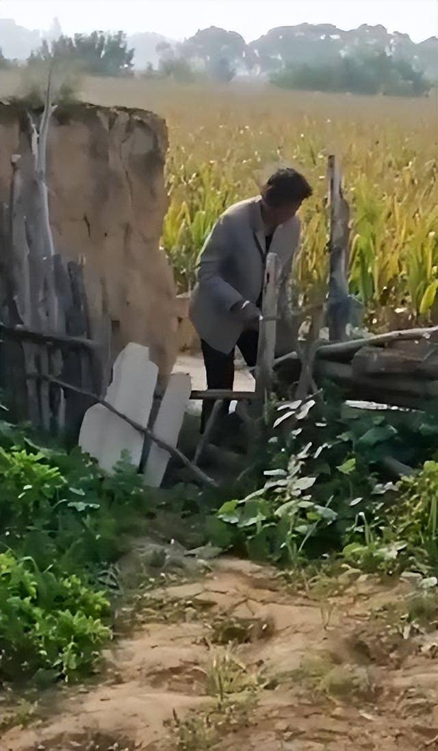 女子疑因拍亲姑姑偷玉米遭姑父棍杀<strong></p>
<p>比特币价格</strong>，邻居欲报警也遇害