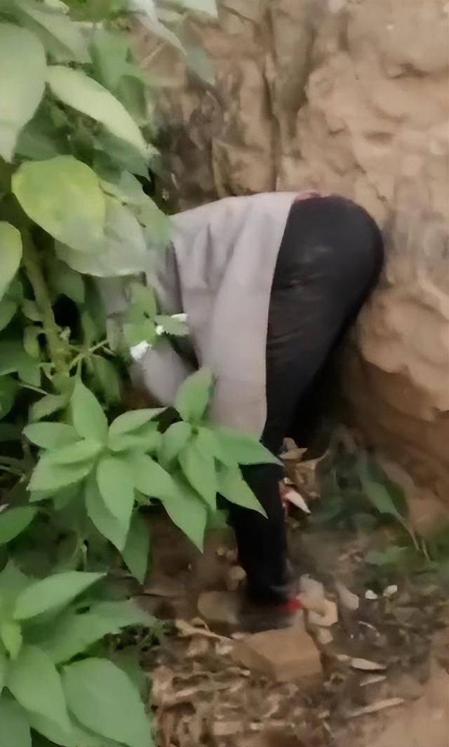 女子疑因拍亲姑姑偷玉米遭姑父棍杀<strong></p>
<p>比特币价格</strong>，邻居欲报警也遇害