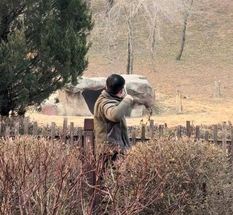 沈阳一男子动物园内用弹弓射老虎<strong></p>
<p>比特币今日行情价格</strong>，目击者称其“填装了弹丸”，打完后老虎爬起来了，园方：正在核实情况