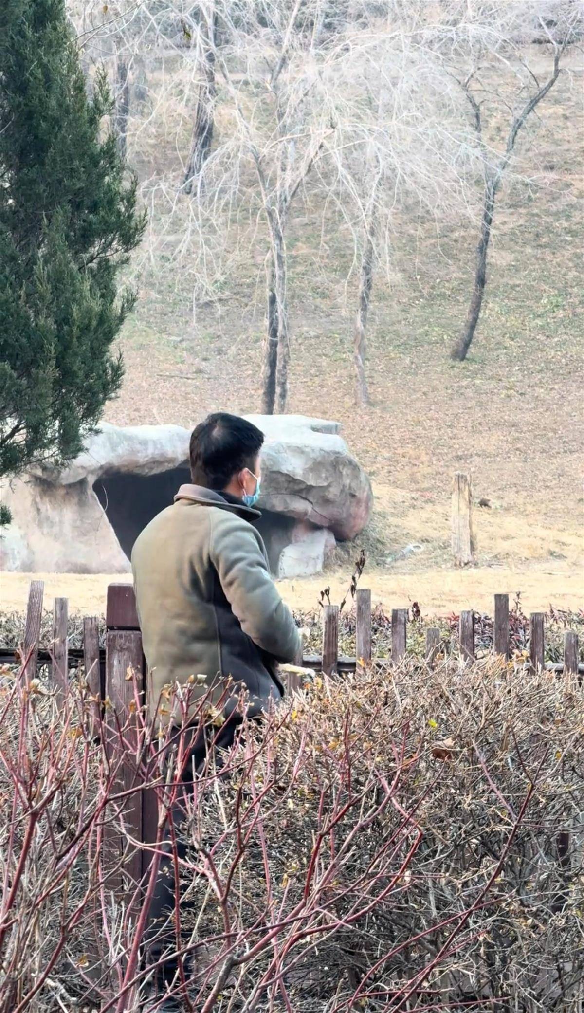 沈阳一男子动物园内用弹弓射老虎<strong></p>
<p>比特币今日行情价格</strong>，目击者称其“填装了弹丸”，打完后老虎爬起来了，园方：正在核实情况