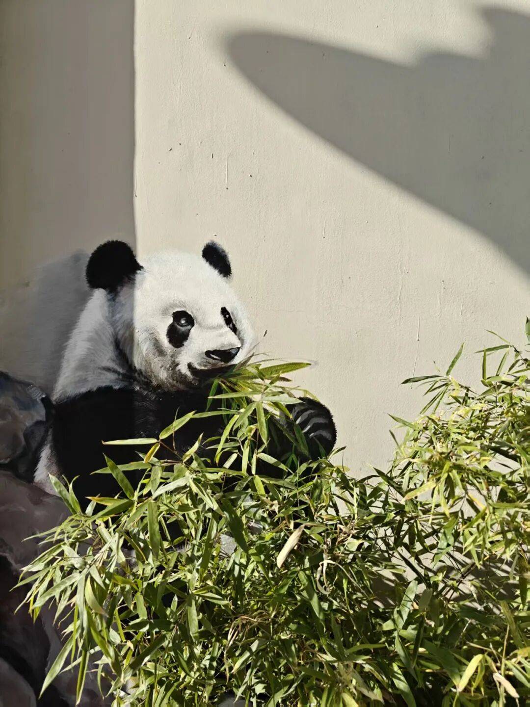 “颜值”出圈 天津和平区独山路这面彩绘墙“亮”<strong></p>
<p>比特币价格今日行情</strong>了