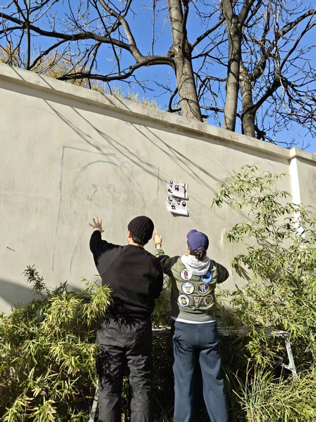 “颜值”出圈 天津和平区独山路这面彩绘墙“亮”<strong></p>
<p>比特币价格今日行情</strong>了