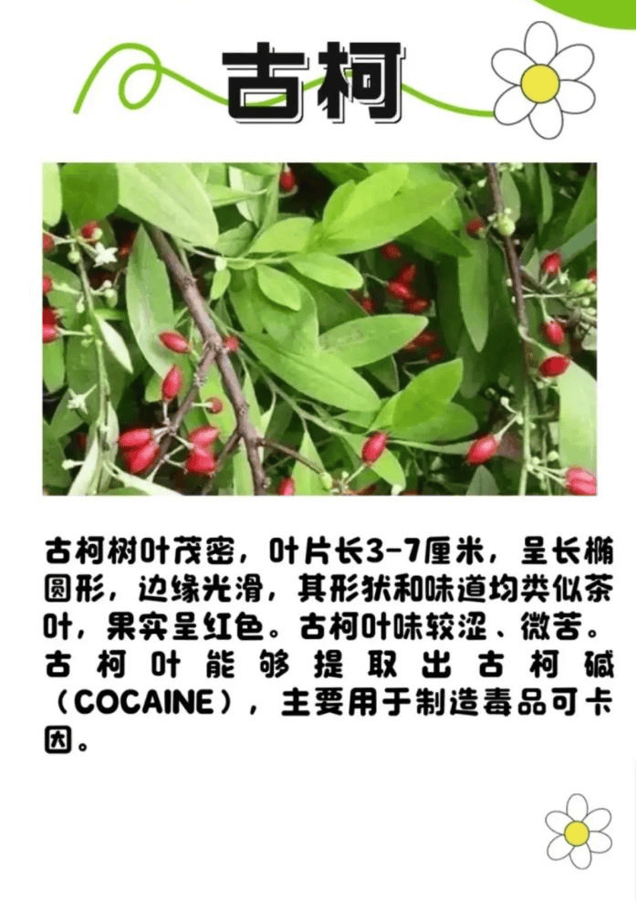 悬赏1500万美金!前奥运选手涉多起案件<strong></p>
<p>比特币行情</strong>,被列入十大通缉犯