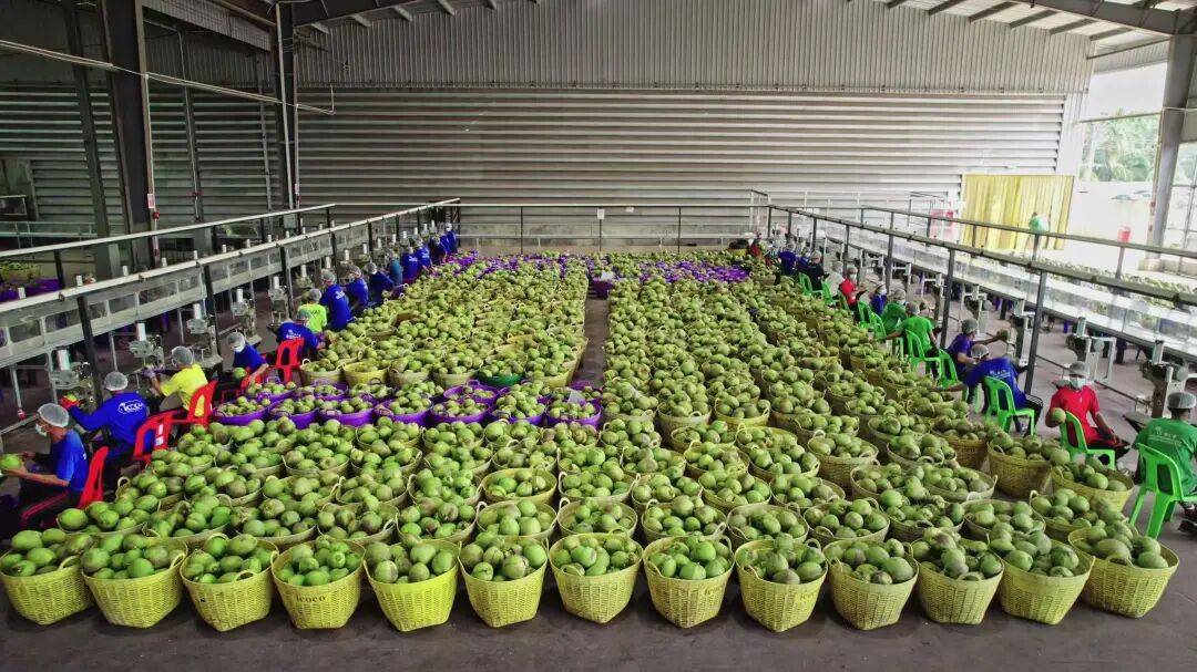 椰子水之外<strong></p>
<p>比特币最新价格行情</strong>，大公司争夺40亿元生椰市场