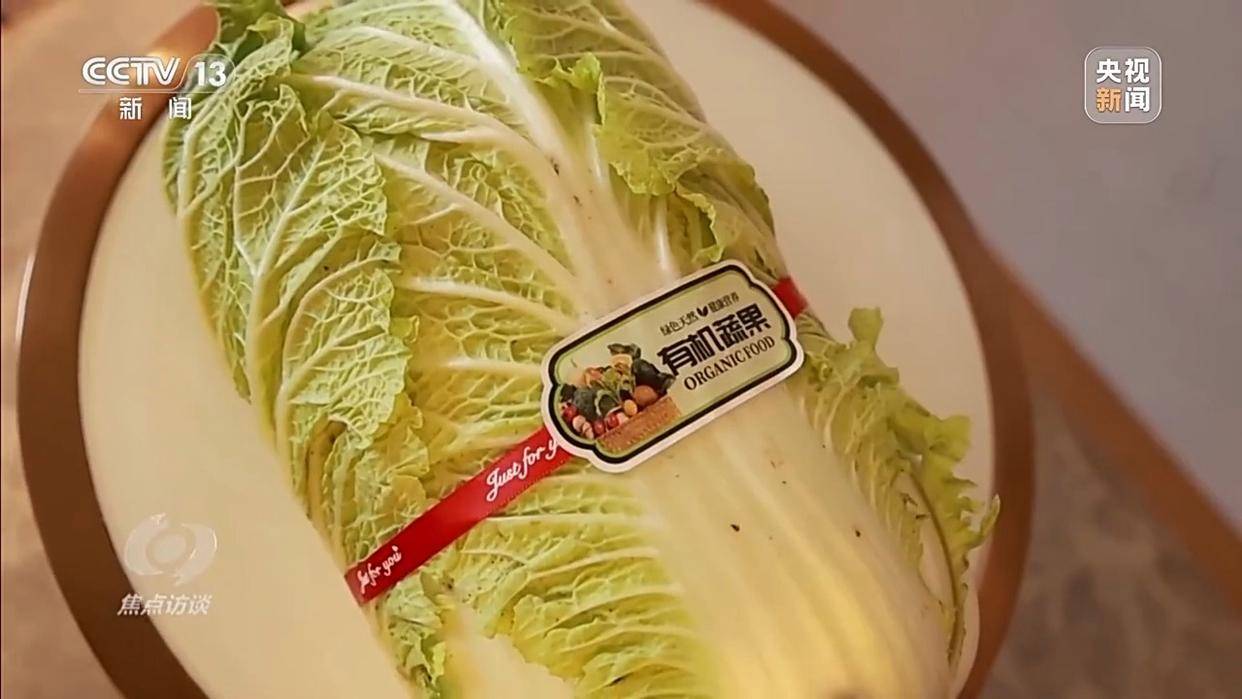 单棵售价超百元<strong></p>
<p>比特币最新价格行情</strong>，起底“套牌白菜”背后的销售套路