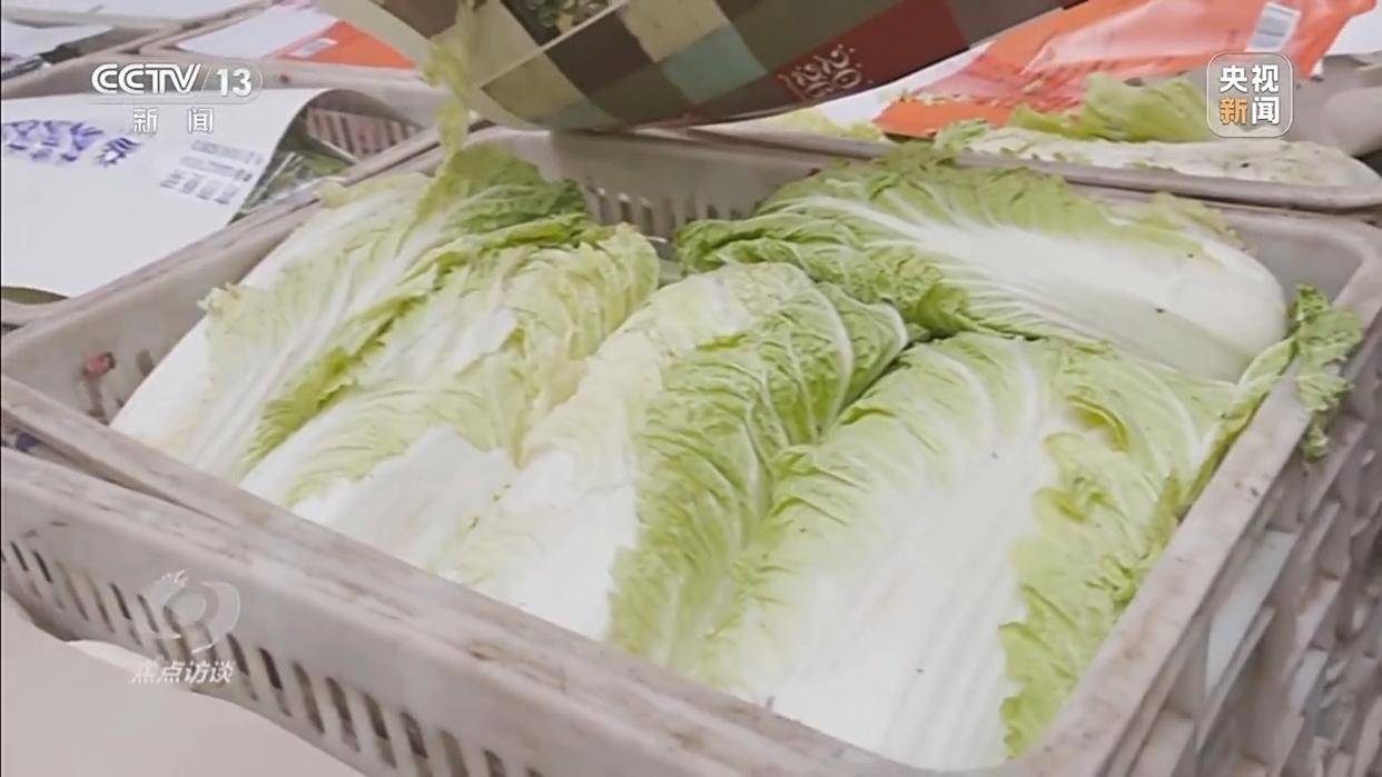 单棵售价超百元<strong></p>
<p>比特币最新价格行情</strong>，起底“套牌白菜”背后的销售套路