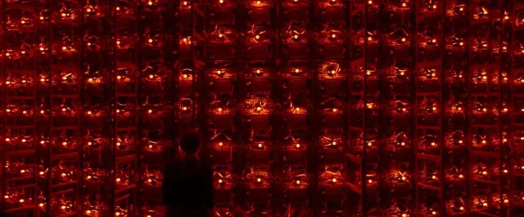 易烊千玺力撑票房但难抵上映口碑两极…《狂野时代》最大的“罪过”<strong></p>
<p>比特币最新价格行情</strong>，是难懂吗？