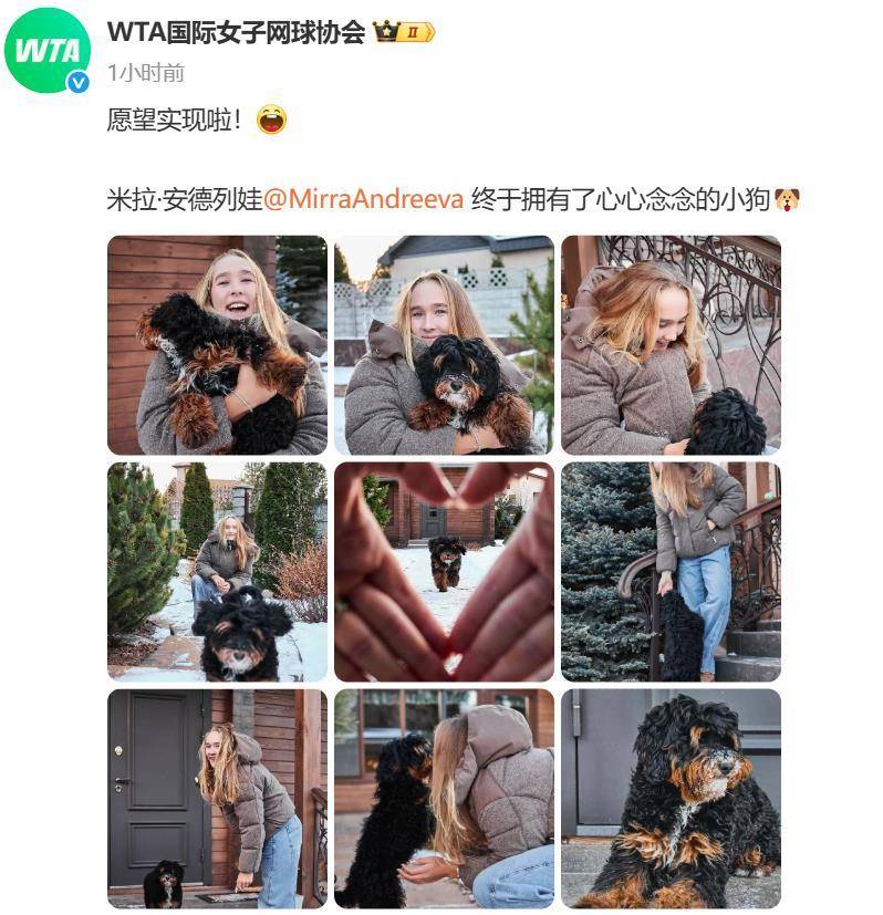 “小米辣”终于有了自己的小狗！曾说养狗是赢球的动力<strong></p>
<p>比特币最新价格行情</strong>，WTA官方发“贺信”：愿望实现啦！