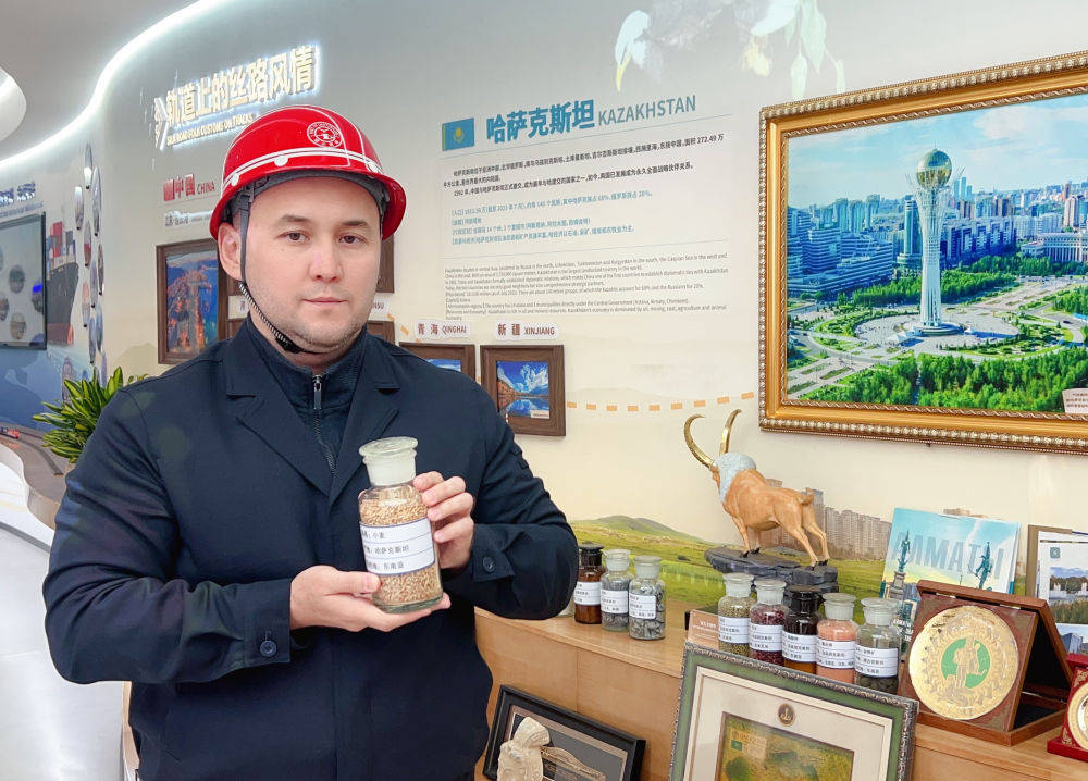 习近平总书记关切事|中欧班列通陆达海