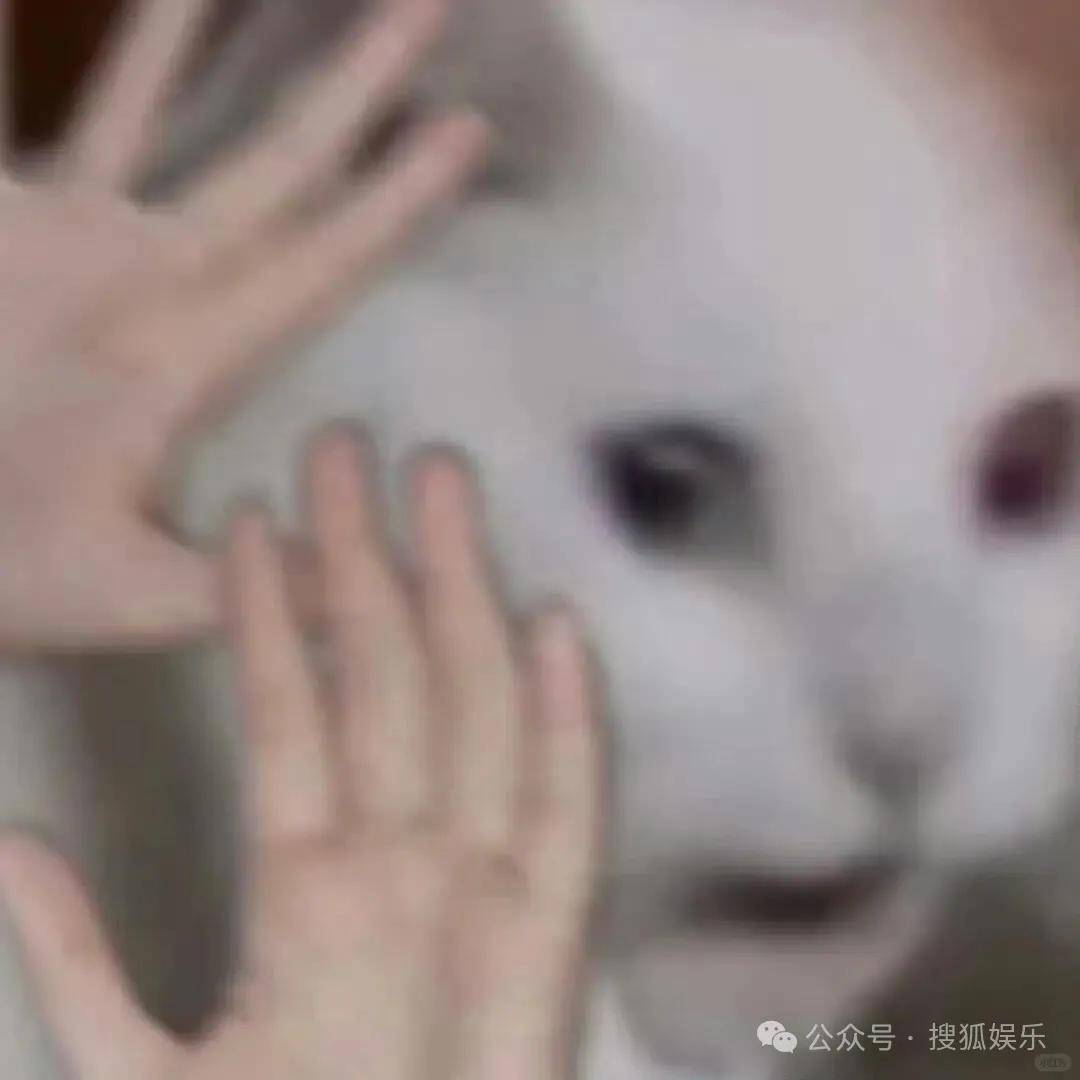 又一对魔幻的圈内姐弟恋曝光<strong></p>
<p>比特币走势</strong>！这组合有点太超前了......