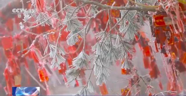 我国已经进入拉尼娜状态<strong></p>
<p>比特币美元实时行情</strong>,专家:可能出现冬春连旱