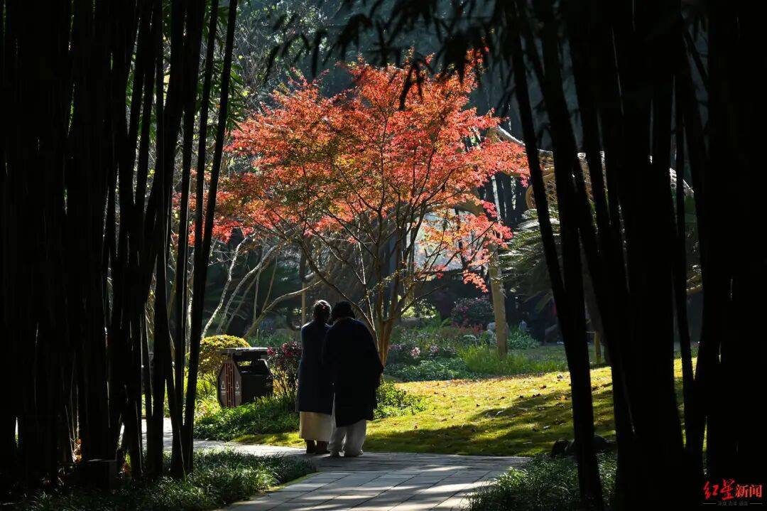 我国已进入拉尼娜状态<strong></p>
<p>比特币挖矿</strong>！四川今冬或“前暖后冷”