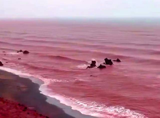 罕见!伊朗霍尔木兹岛遭遇强降雨,部分海域变成“血色海洋”