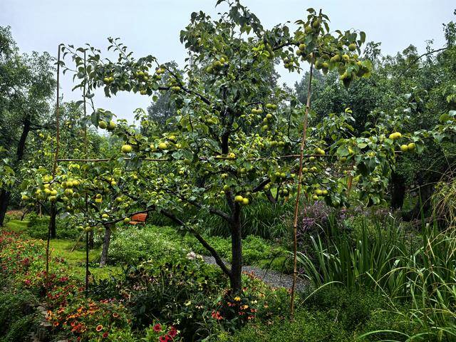 线上九成是“李鬼”！400岁京白梨再维权<strong></p>
<p>比特币矿机</strong>，溯源码上线打假