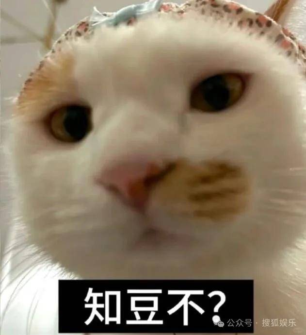 刚开年又曝一对相差15岁的恋情?他这一周两段绯闻真是连环暴击啊<strong></p>
<p>比特币中国</strong>!