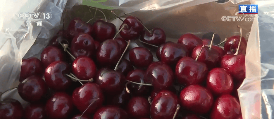 人气旺、消费火<strong></p>
<p>比特币中国</strong>,热气腾腾!各地市场活跃繁荣 “年经济”释放“新”热度