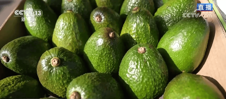 人气旺、消费火<strong></p>
<p>比特币中国</strong>,热气腾腾!各地市场活跃繁荣 “年经济”释放“新”热度