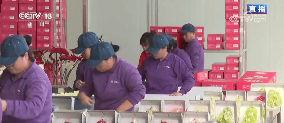 人气旺、消费火<strong></p>
<p>比特币中国</strong>,热气腾腾!各地市场活跃繁荣 “年经济”释放“新”热度