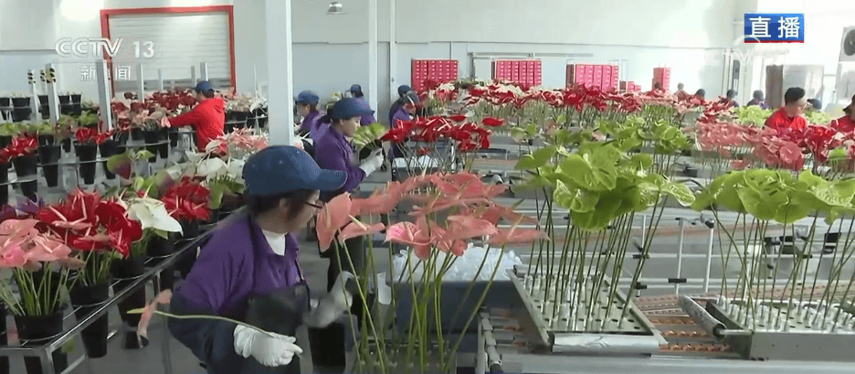 人气旺、消费火<strong></p>
<p>比特币中国</strong>,热气腾腾!各地市场活跃繁荣 “年经济”释放“新”热度