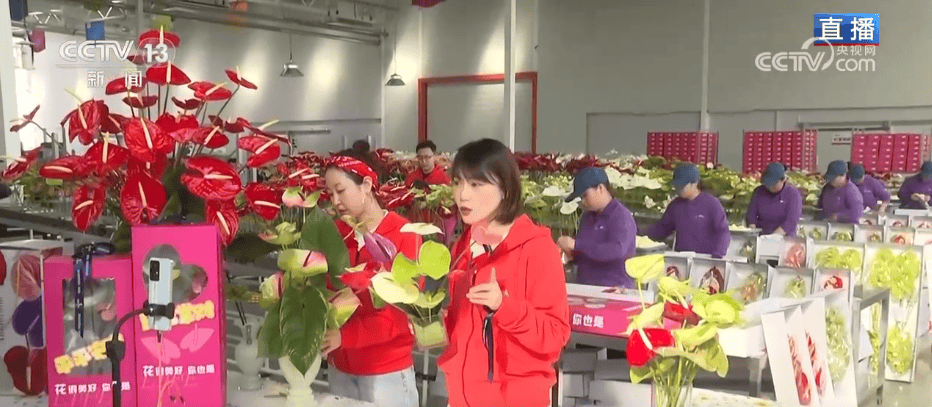 人气旺、消费火<strong></p>
<p>比特币中国</strong>,热气腾腾!各地市场活跃繁荣 “年经济”释放“新”热度