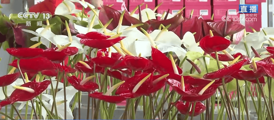 人气旺、消费火<strong></p>
<p>比特币中国</strong>,热气腾腾!各地市场活跃繁荣 “年经济”释放“新”热度