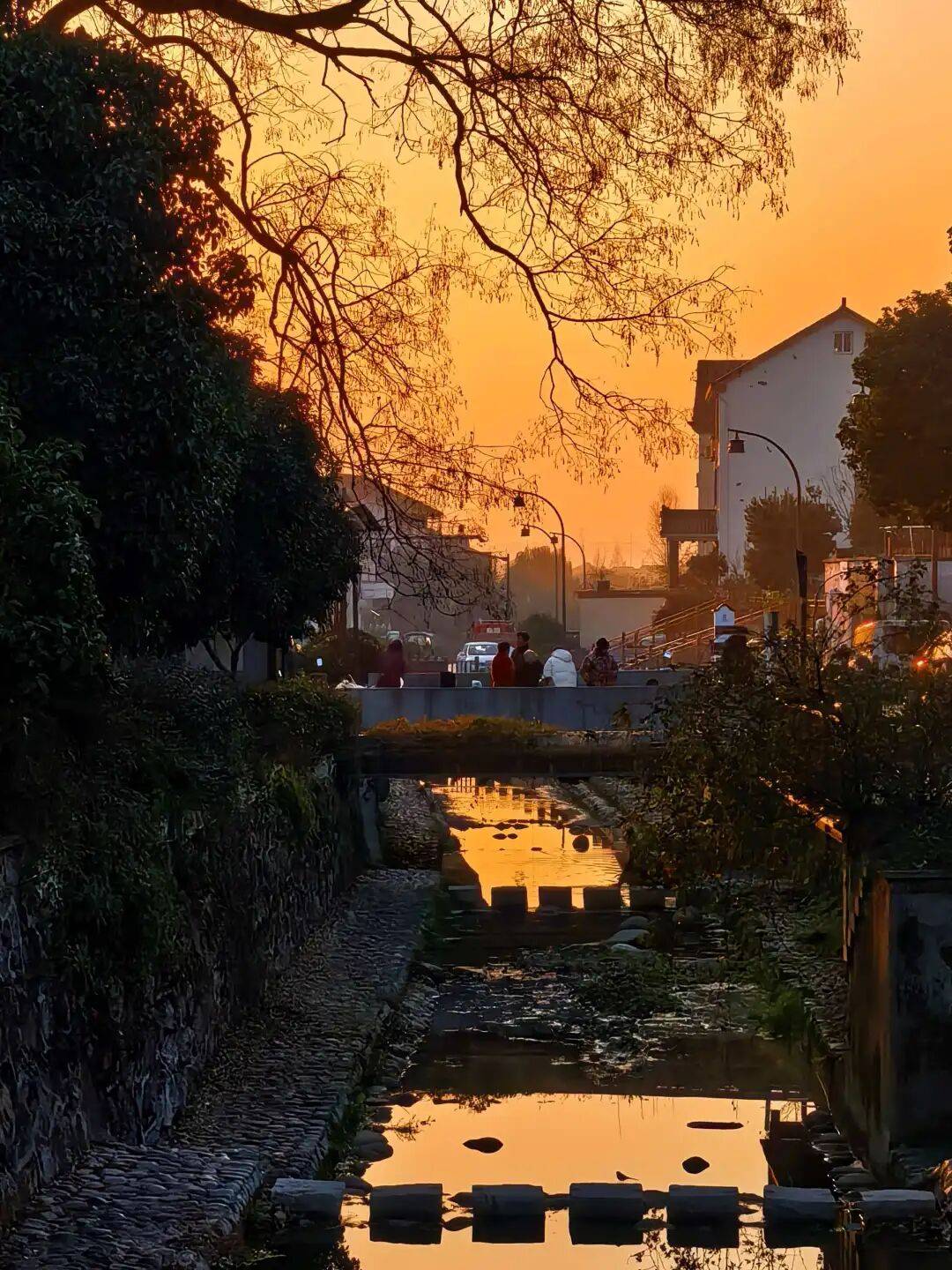 今起，持续一周！直冲20℃！杭州人做好准备，还有个大反转……