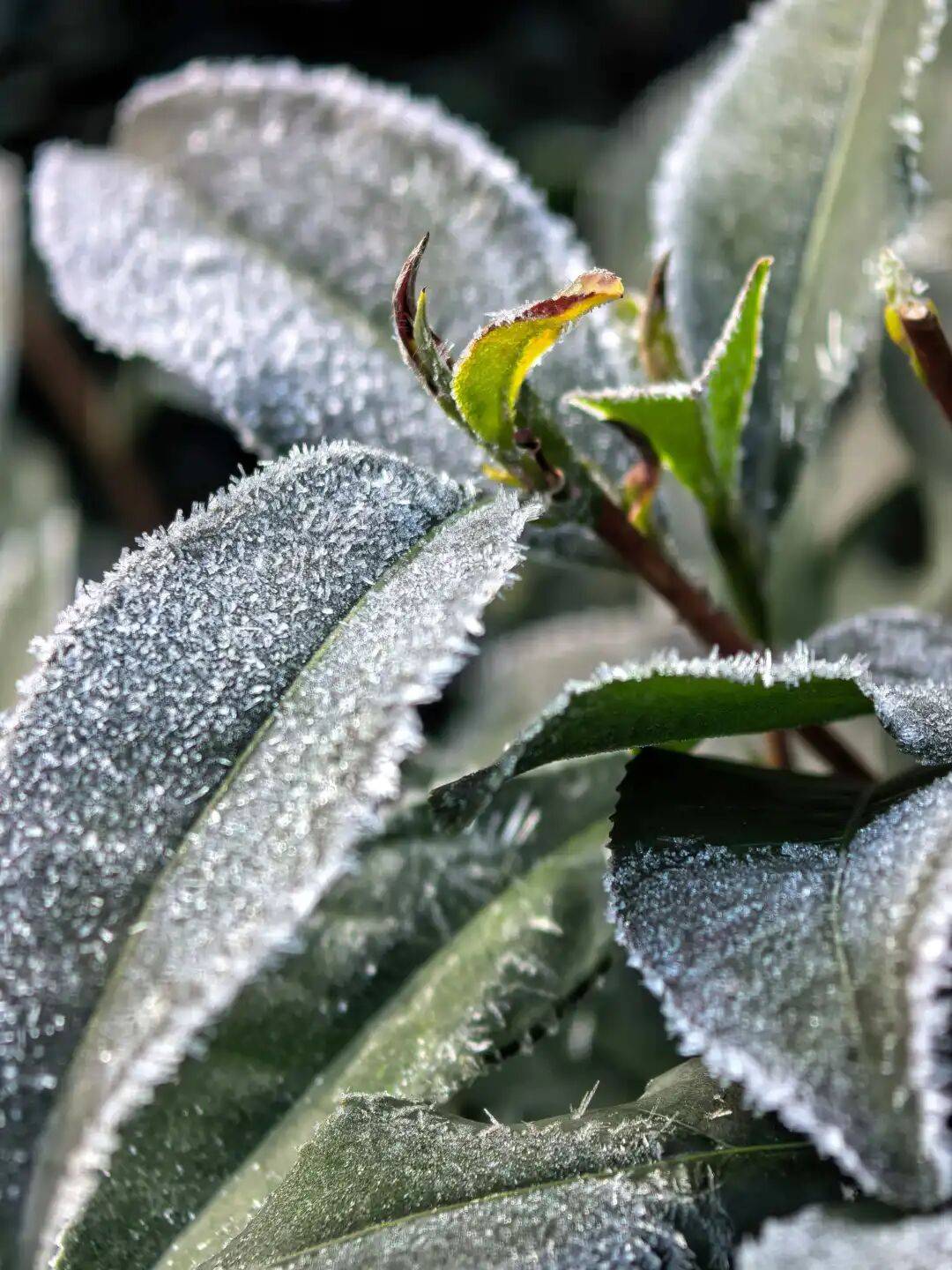 今起<strong></p>
<p>比特币价格实时行情</strong>,持续一周!直冲20℃!杭州人做好准备,还有个大反转……